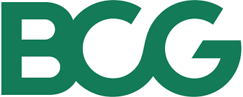 Digyfindy Boston Consulting Group It Services Ontario Toronto