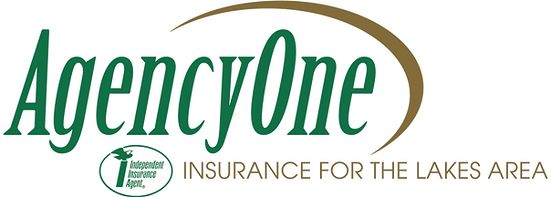 Digyfindy Agency One Insurance Agents Minnesota Baxter