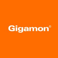 Digyfindy Gigamon Inc It Services California Santa Clara