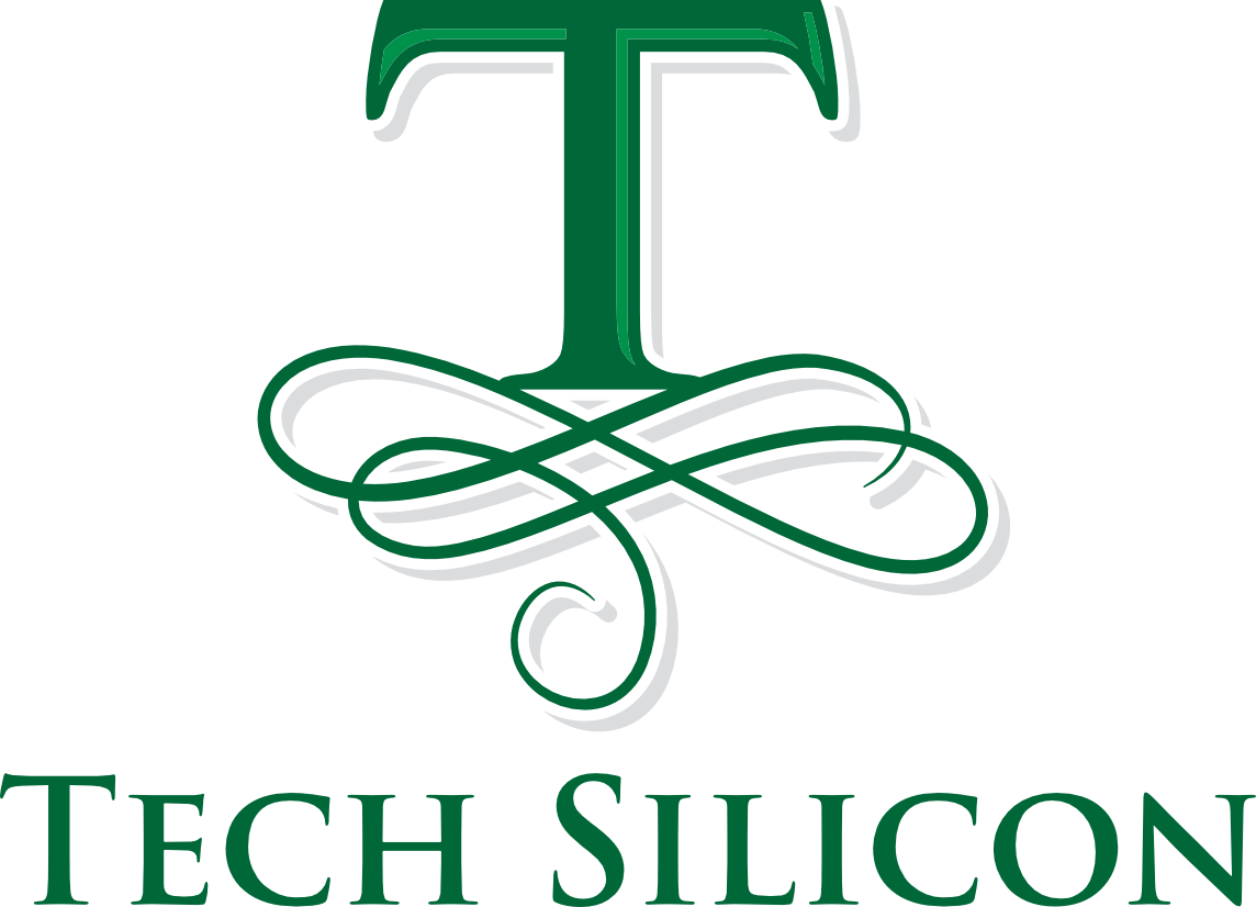 Tech Silicon Llc - It Services - Santa Clara