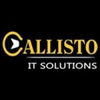 Callisto It Solutions - It Services - Nagpur