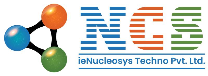 Digyfindy Nucleosys Tech It Services Maharashtra Pune