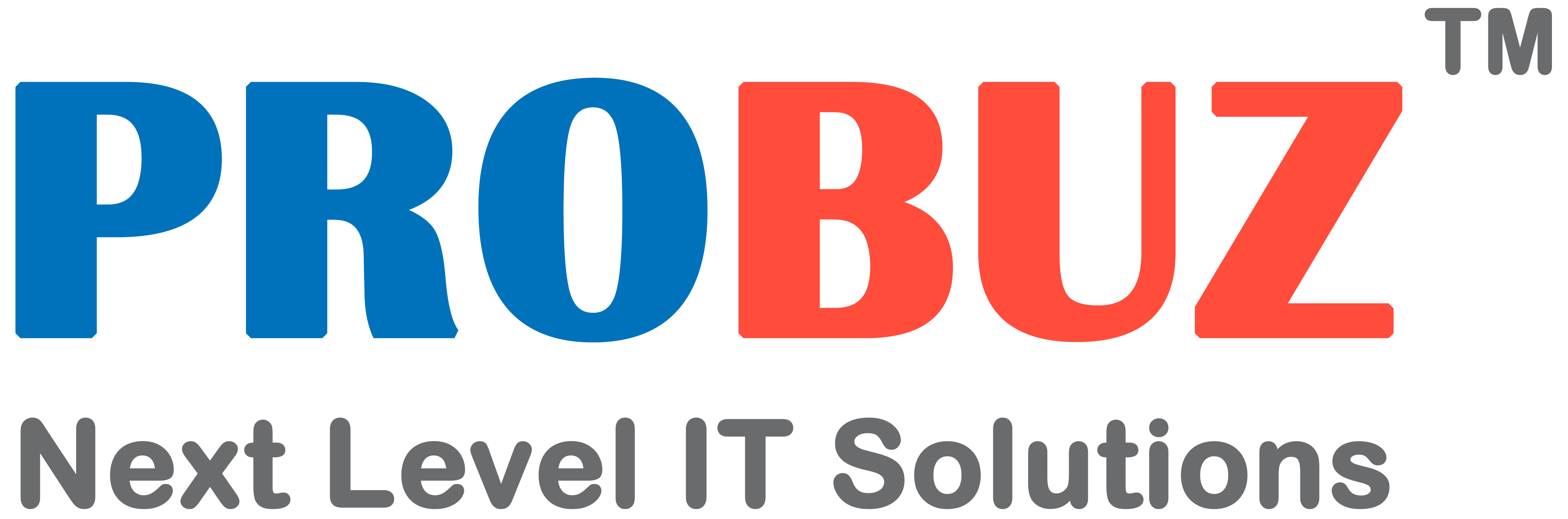 Probuz Technologies - It Services - Nagpur