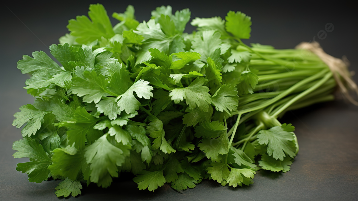 benefits of coriander